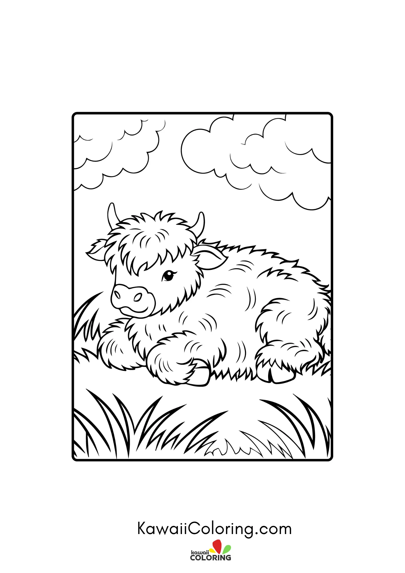 Cute highland cow with shaggy hair