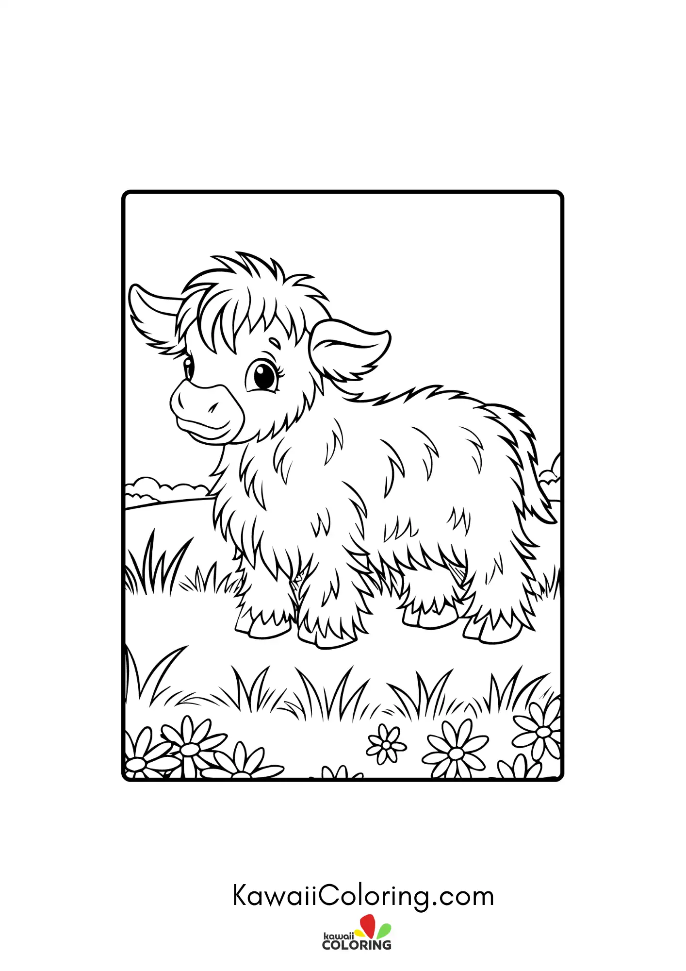 Cute highland cow with shaggy hair