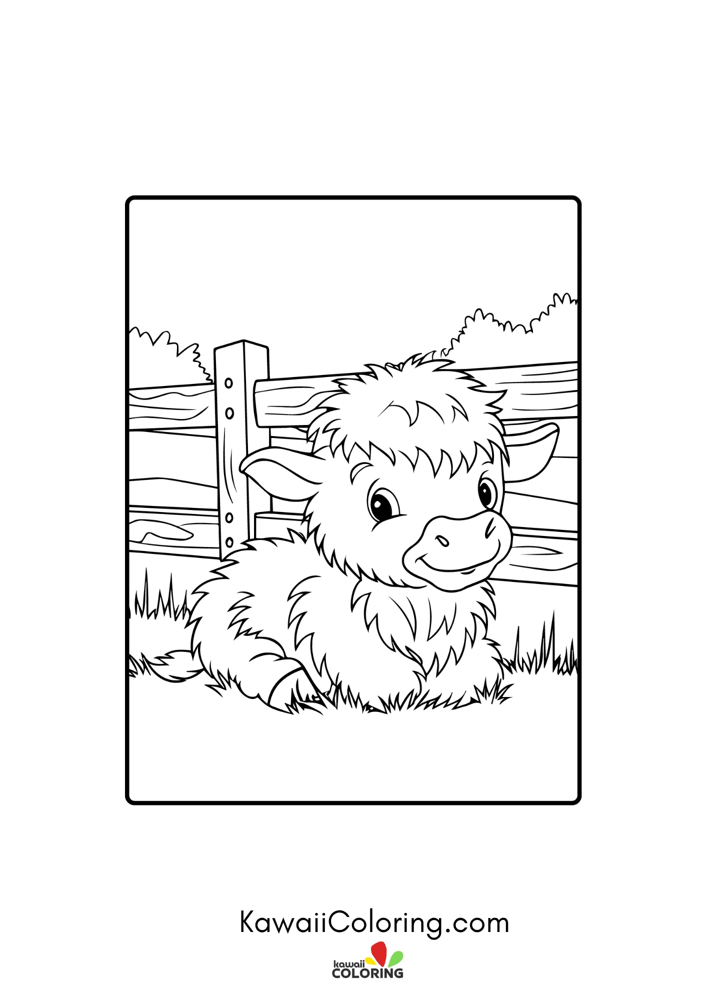 Cute highland cow with shaggy hair