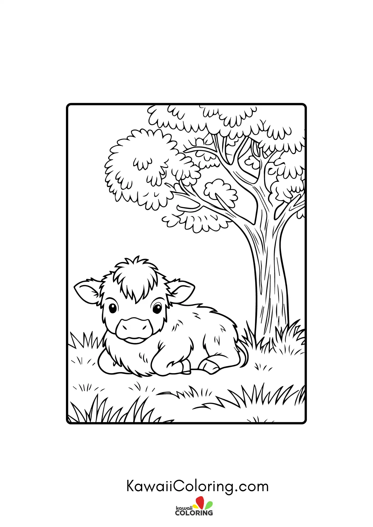Fluffy highland cow face with horns