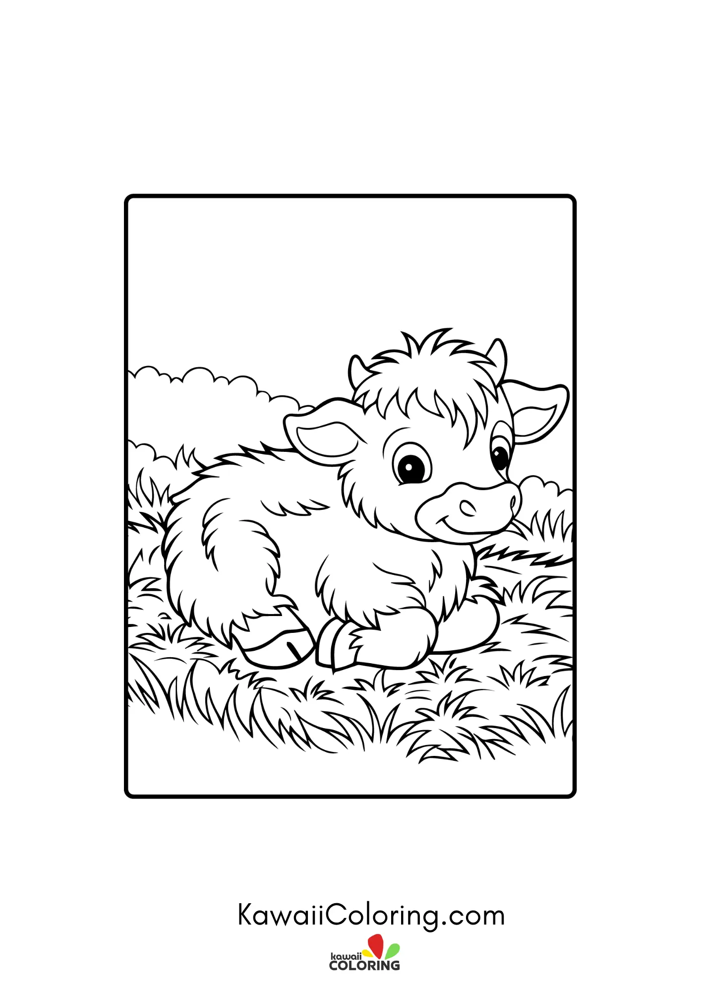 Cute highland cow with shaggy hair